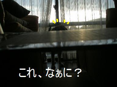 c0205806_19311155.jpg