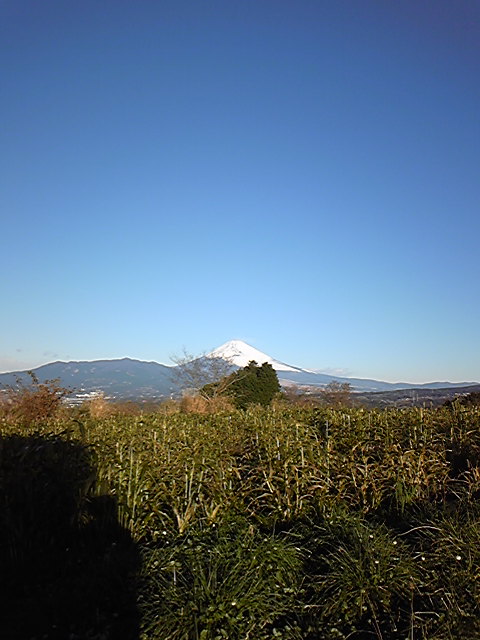 e0015108_8451915.jpg