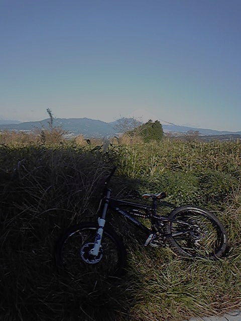 e0015108_852302.jpg