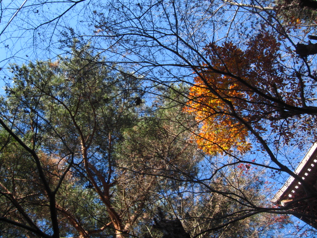 d0150309_20324294.jpg