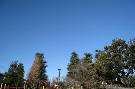 c0084117_19552448.jpg