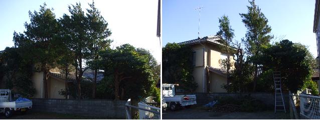 b0096418_18504893.jpg