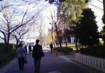 b0188121_045052.jpg