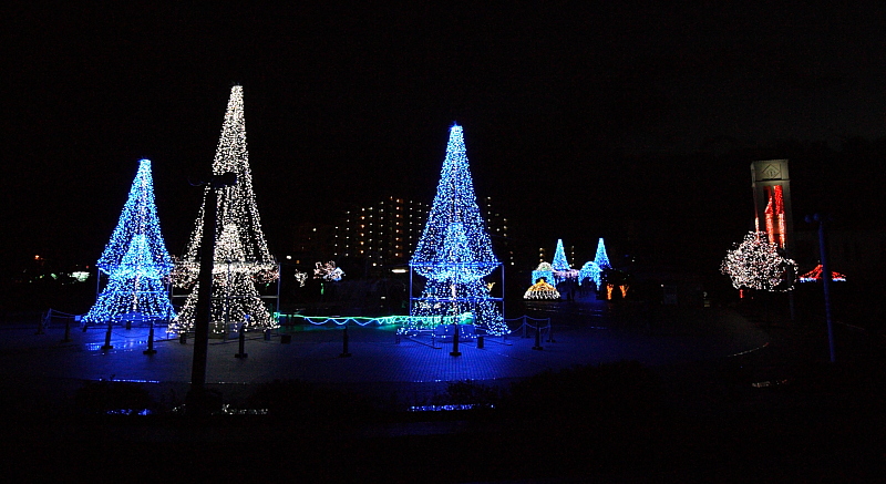 f0031423_8382775.jpg
