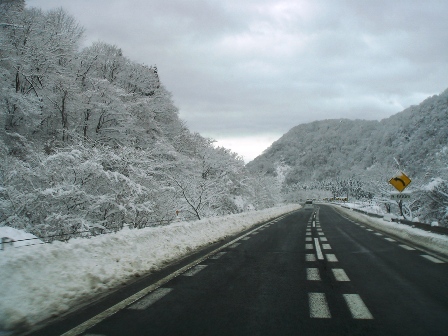 c0009224_6335227.jpg