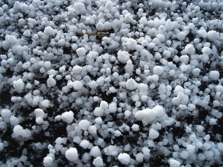 c0009224_6391686.jpg