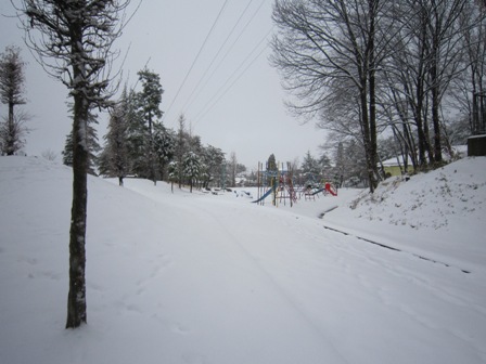 b0181027_1211637.jpg