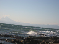 e0002927_21543510.jpg