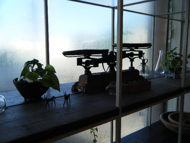 c0110930_191844.jpg
