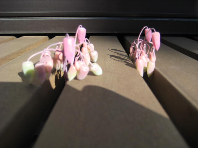 e0166032_184130.jpg