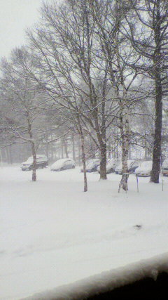 c0118536_16113360.jpg