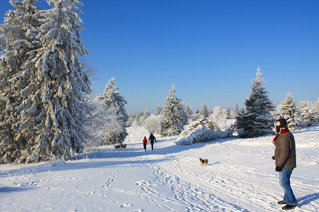 c0153740_4224591.jpg