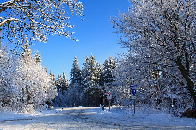 c0153740_5134526.jpg