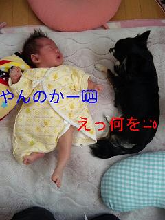 c0121141_16585483.jpg