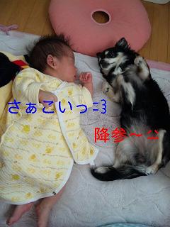 c0121141_16592045.jpg