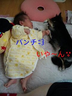 c0121141_1659944.jpg