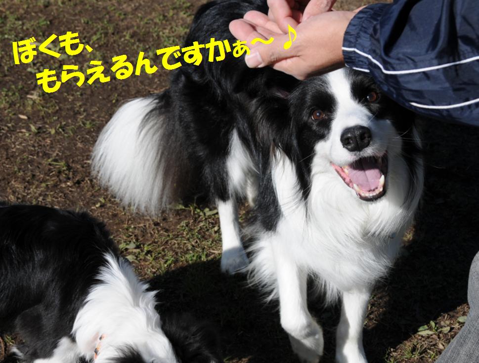 c0147241_2111213.jpg