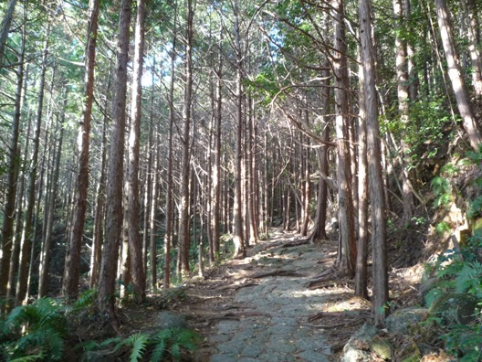 b0041442_22542955.jpg