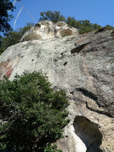 b0041442_22552629.jpg