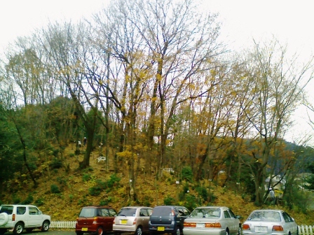 d0124543_062372.jpg