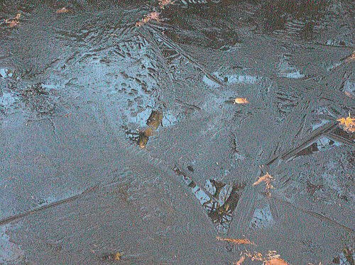 f0094843_0184384.jpg