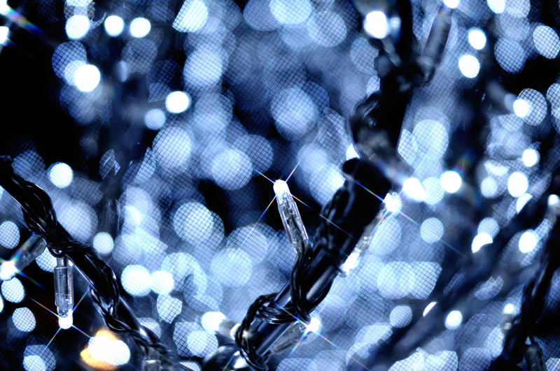 c0226348_2003446.jpg