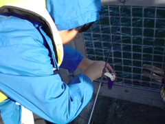 e0005548_12421663.jpg