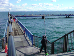 e0005548_1242361.jpg