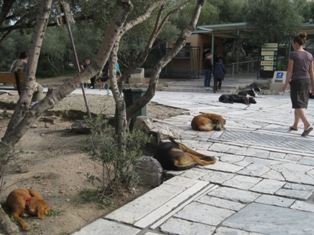 e0018350_1532292.jpg
