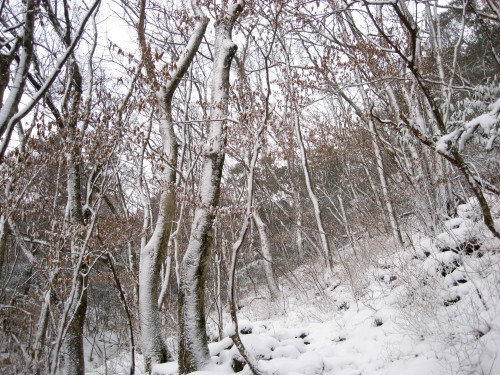 c0179351_22203143.jpg