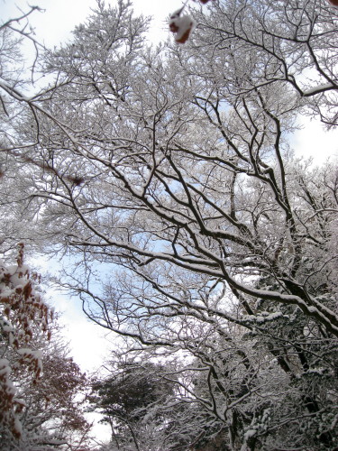 c0179351_2244225.jpg