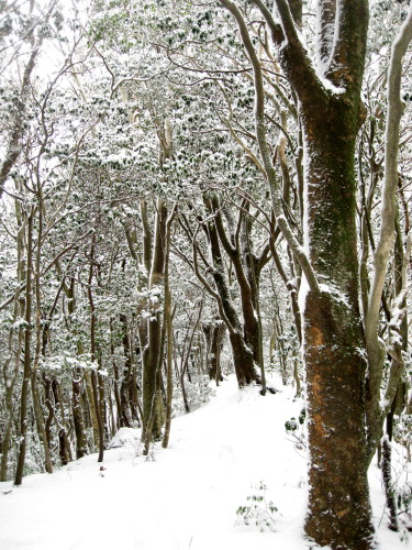 c0179351_22443158.jpg