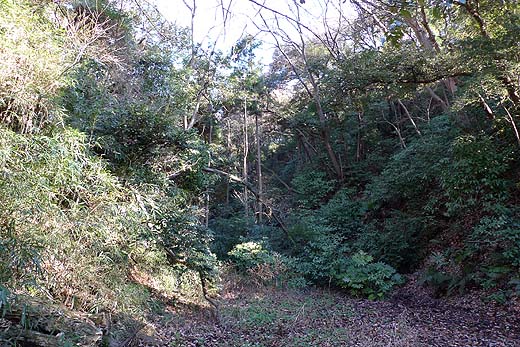 e0050753_215758100.jpg