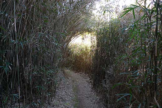 e0050753_2158764.jpg