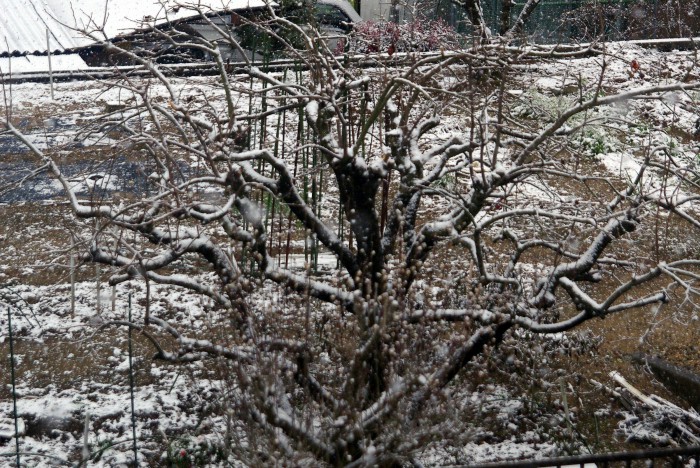 f0207754_11364996.jpg