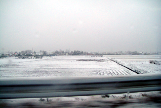 d0079557_2301426.jpg