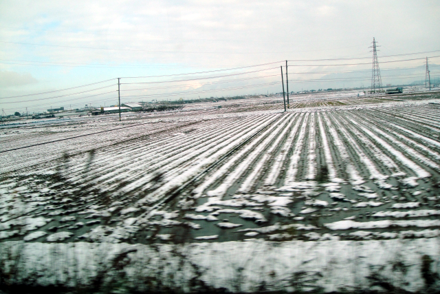 d0079557_2313423.jpg