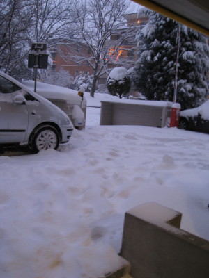 f0077159_7295750.jpg
