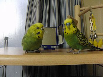 f0196665_014301.jpg
