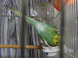 f0196665_164192.jpg