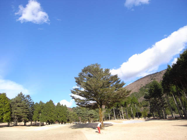 c0187166_9333320.jpg
