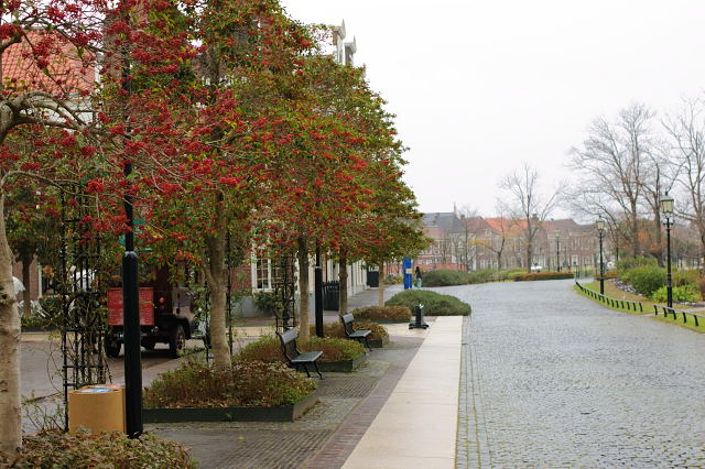 b0170969_17521055.jpg