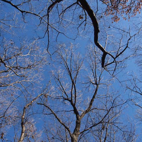c0122670_1144794.jpg