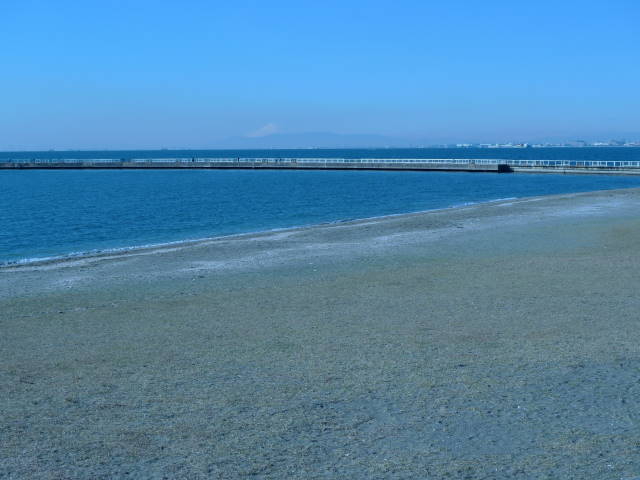 a0113874_20382076.jpg