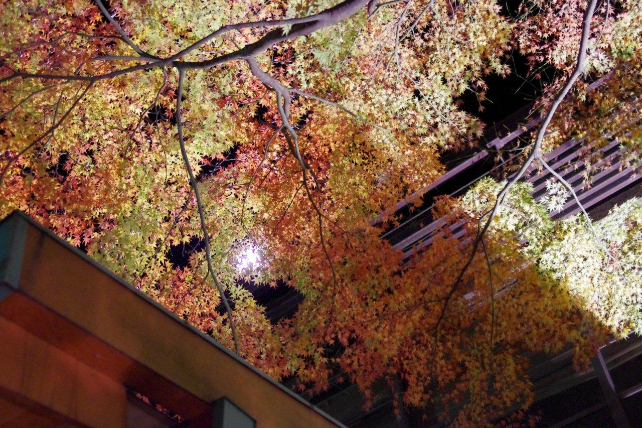 b0165778_23241368.jpg