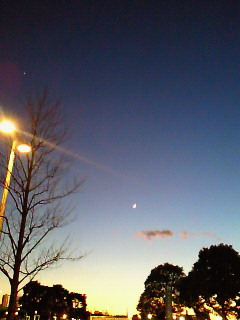 d0072481_2105195.jpg