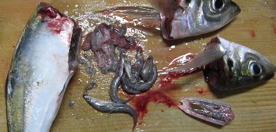 f0003283_20444894.jpg