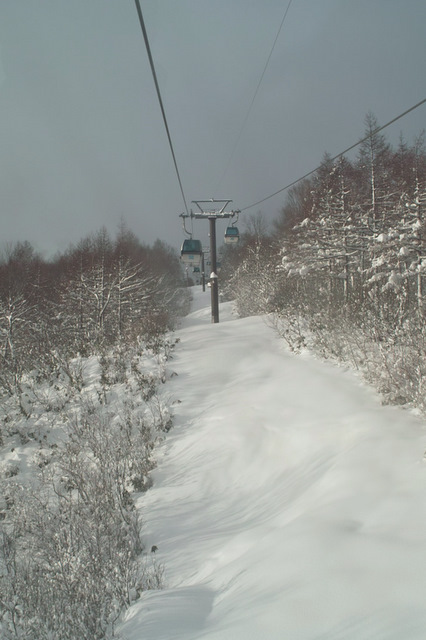 b0046290_12415937.jpg