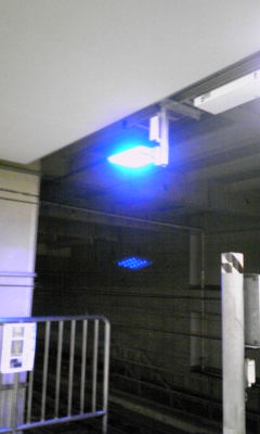 f0081293_13393255.jpg