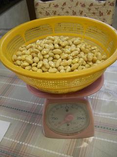 c0187298_0482654.jpg